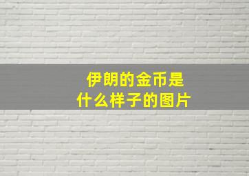 伊朗的金币是什么样子的图片