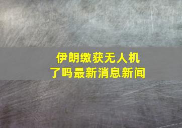 伊朗缴获无人机了吗最新消息新闻