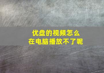 优盘的视频怎么在电脑播放不了呢