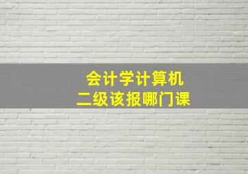 会计学计算机二级该报哪门课