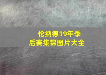 伦纳德19年季后赛集锦图片大全