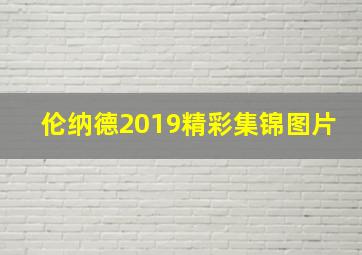 伦纳德2019精彩集锦图片