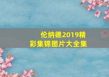 伦纳德2019精彩集锦图片大全集