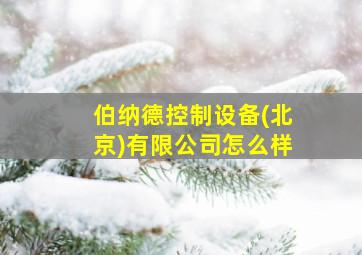 伯纳德控制设备(北京)有限公司怎么样