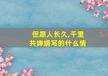 但愿人长久,千里共婵娟写的什么情