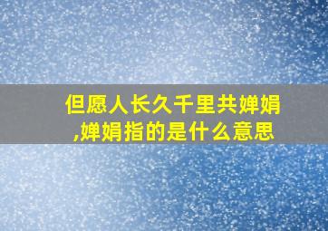 但愿人长久千里共婵娟,婵娟指的是什么意思