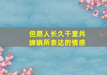 但愿人长久千里共婵娟所表达的情感