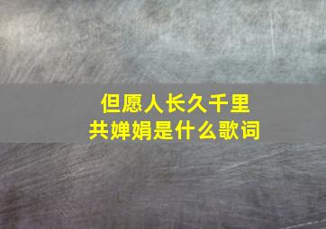 但愿人长久千里共婵娟是什么歌词