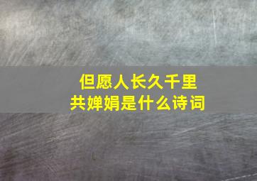 但愿人长久千里共婵娟是什么诗词