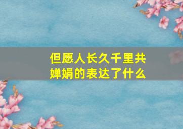 但愿人长久千里共婵娟的表达了什么