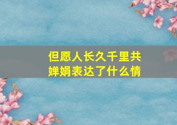 但愿人长久千里共婵娟表达了什么情