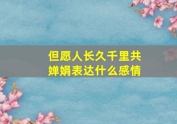 但愿人长久千里共婵娟表达什么感情