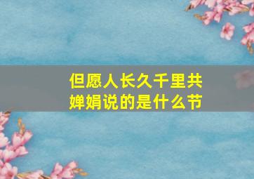 但愿人长久千里共婵娟说的是什么节