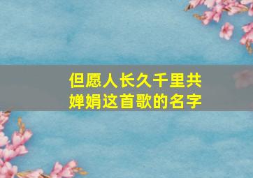 但愿人长久千里共婵娟这首歌的名字