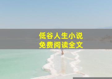 低谷人生小说免费阅读全文