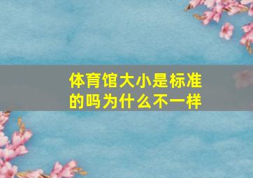 体育馆大小是标准的吗为什么不一样