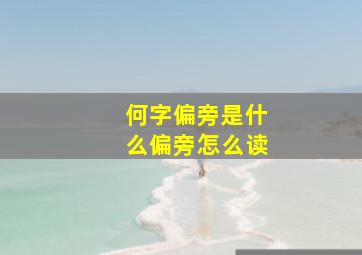 何字偏旁是什么偏旁怎么读