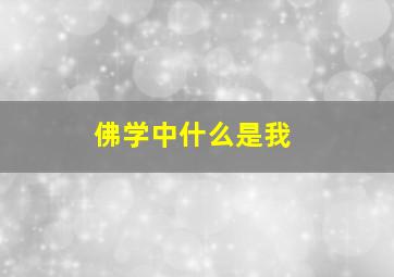 佛学中什么是我