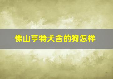 佛山亨特犬舍的狗怎样