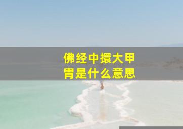 佛经中擐大甲胄是什么意思