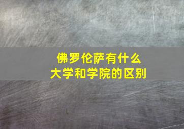 佛罗伦萨有什么大学和学院的区别