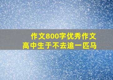 作文800字优秀作文高中生于不去追一匹马