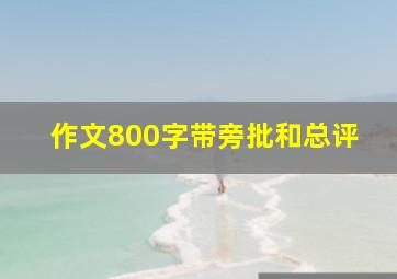 作文800字带旁批和总评