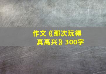 作文《那次玩得真高兴》300字