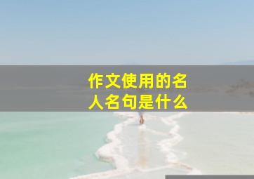 作文使用的名人名句是什么