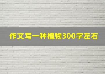 作文写一种植物300字左右