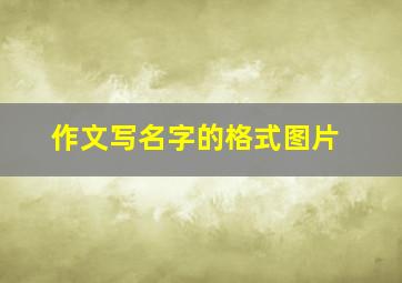 作文写名字的格式图片