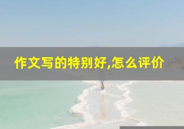 作文写的特别好,怎么评价