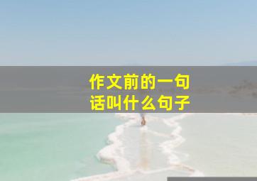 作文前的一句话叫什么句子