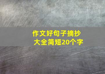 作文好句子摘抄大全简短20个字