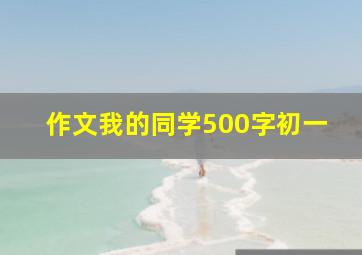 作文我的同学500字初一