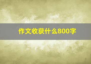 作文收获什么800字