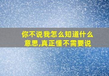 你不说我怎么知道什么意思,真正懂不需要说