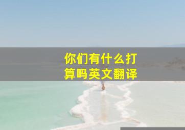 你们有什么打算吗英文翻译