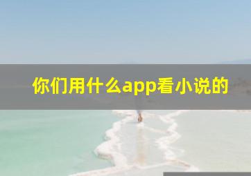 你们用什么app看小说的