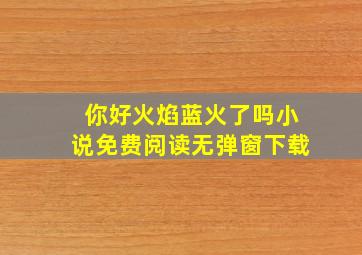 你好火焰蓝火了吗小说免费阅读无弹窗下载