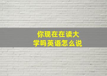 你现在在读大学吗英语怎么说