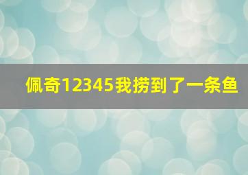 佩奇12345我捞到了一条鱼