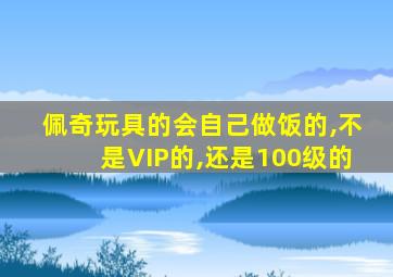 佩奇玩具的会自己做饭的,不是VIP的,还是100级的