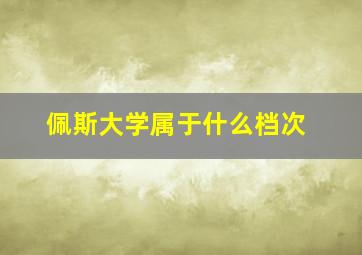 佩斯大学属于什么档次