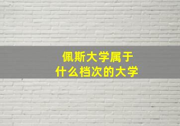 佩斯大学属于什么档次的大学