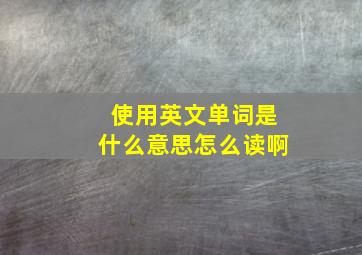 使用英文单词是什么意思怎么读啊