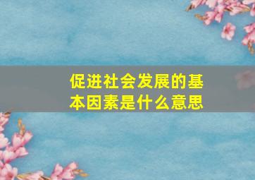 促进社会发展的基本因素是什么意思