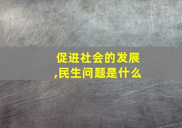 促进社会的发展,民生问题是什么