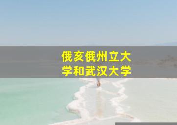 俄亥俄州立大学和武汉大学