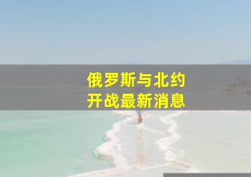 俄罗斯与北约开战最新消息